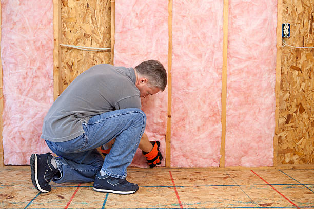 Best Insulation Installation Services in Elizabeth, PA